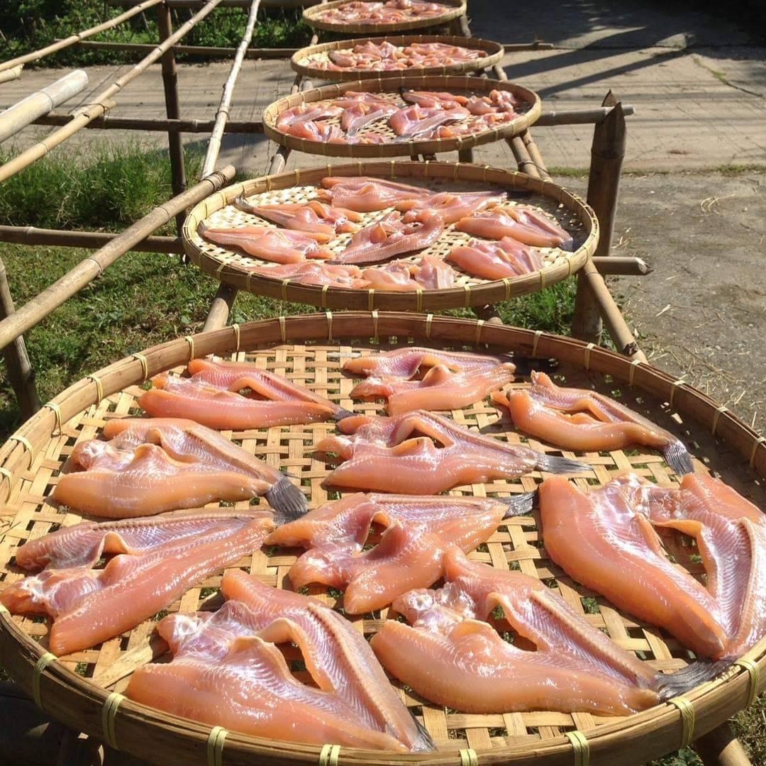 ปลาช่อนแดดเดียว สิงห์บุรี